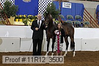 11r12_3500 proof