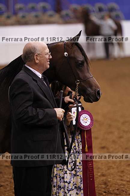 Proof 11r12_3501