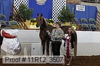 11r12_3507 proof