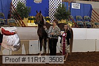 11r12_3508 proof