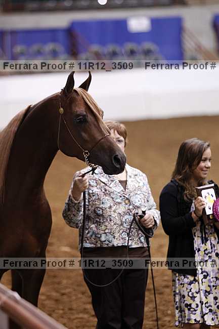 Proof 11r12_3509