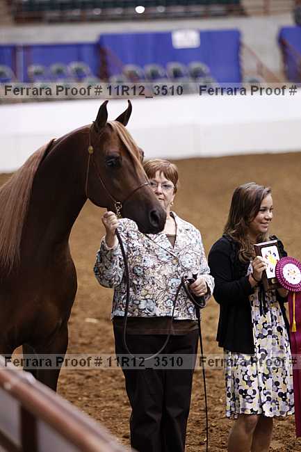Proof 11r12_3510