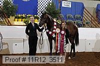11r12_3511 proof