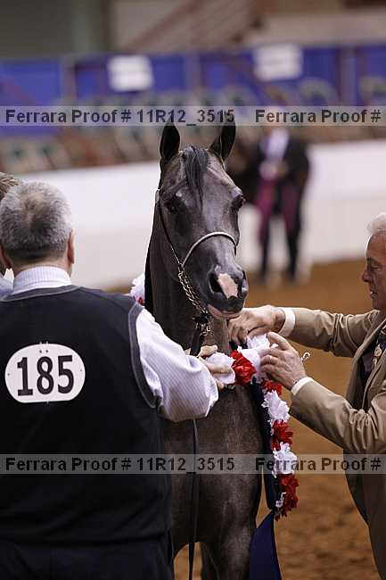 Proof 11r12_3515
