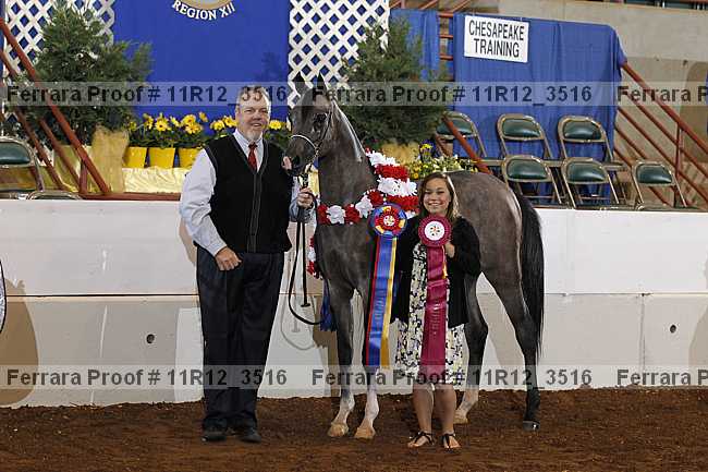 Proof 11r12_3516