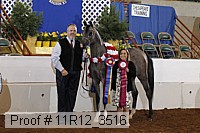 11r12_3516 proof