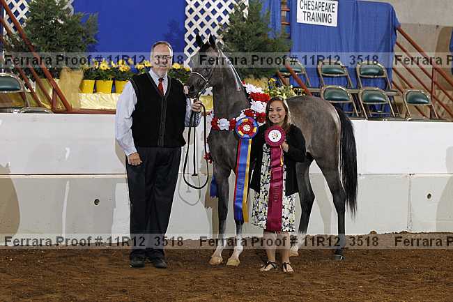 Proof 11r12_3518