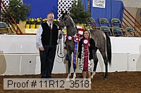11r12_3518 proof
