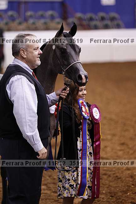 Proof 11r12_3519