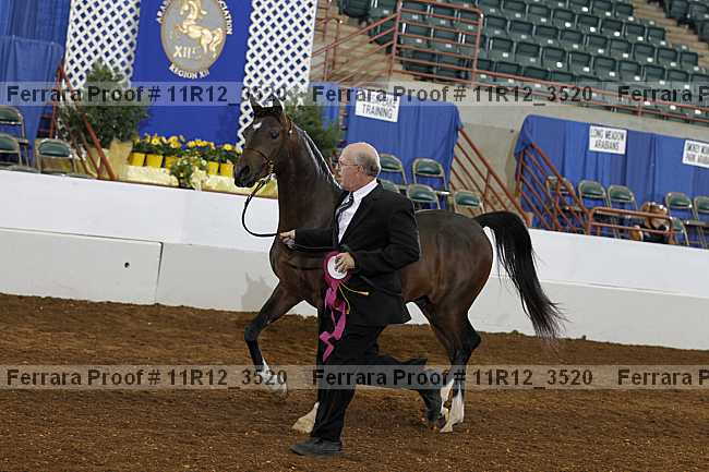 Proof 11r12_3520
