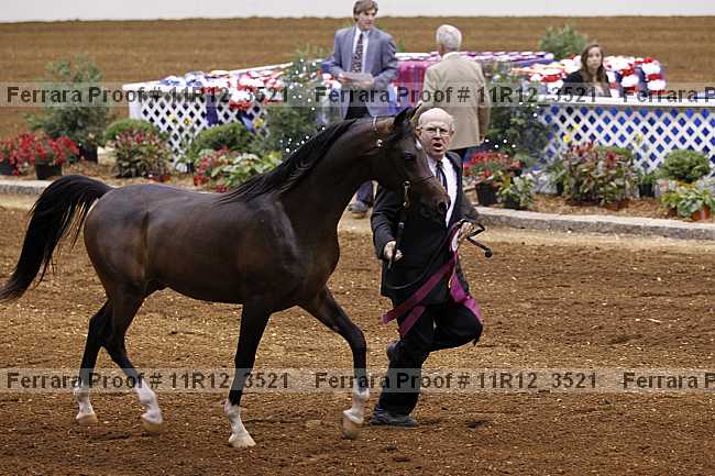 Proof 11r12_3521