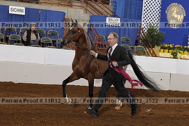 Proof 11r12_3522