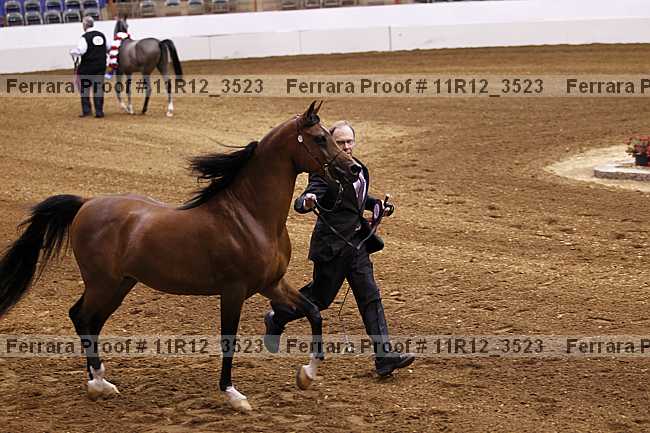 Proof 11r12_3523