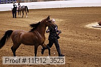 11r12_3523 proof