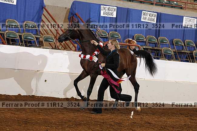Proof 11r12_3524