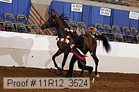 11r12_3524 proof