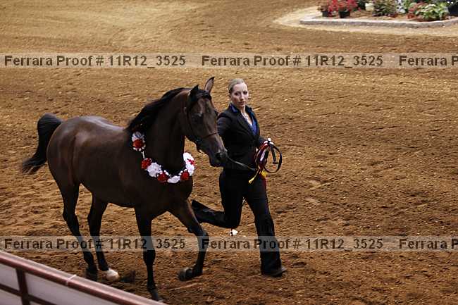 Proof 11r12_3525