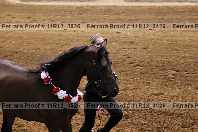 Proof 11r12_3526