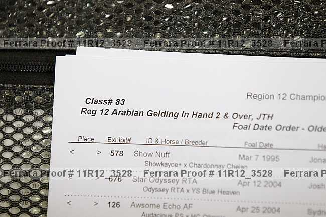 Proof 11r12_3528