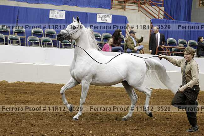 Proof 11r12_3529