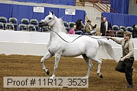 11r12_3529 proof