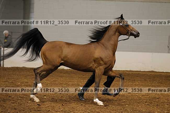 Proof 11r12_3530