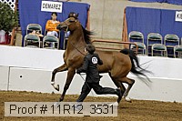 11r12_3531 proof
