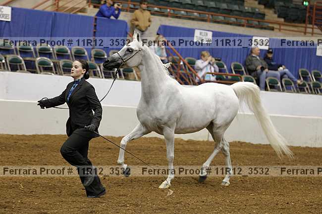 Proof 11r12_3532