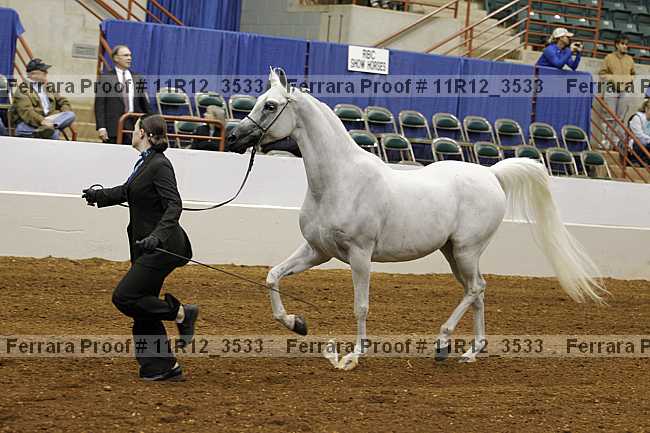 Proof 11r12_3533