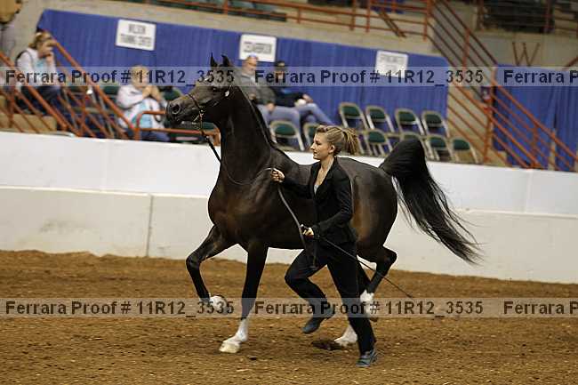 Proof 11r12_3535