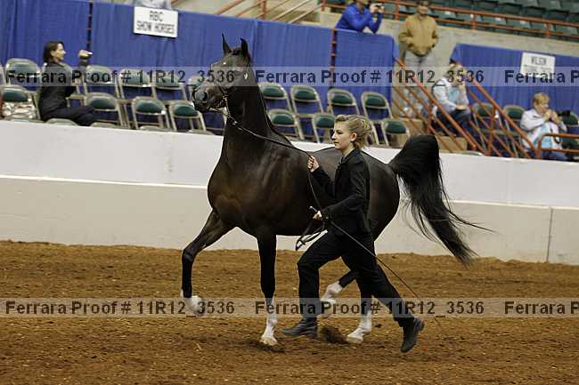 Proof 11r12_3536