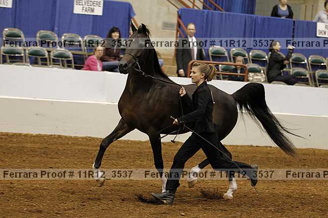 Proof 11r12_3537