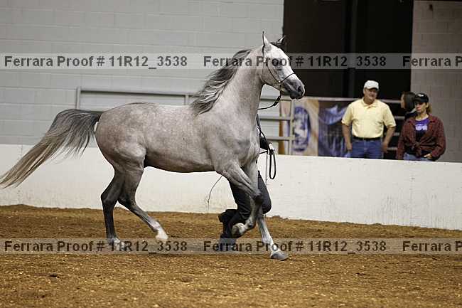 Proof 11r12_3538