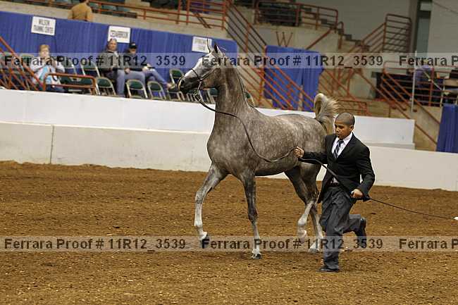 Proof 11r12_3539