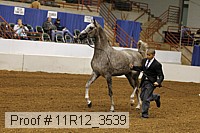 11r12_3539 proof