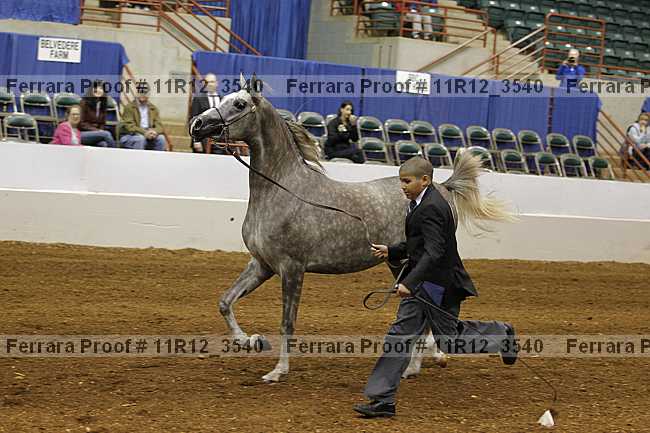 Proof 11r12_3540