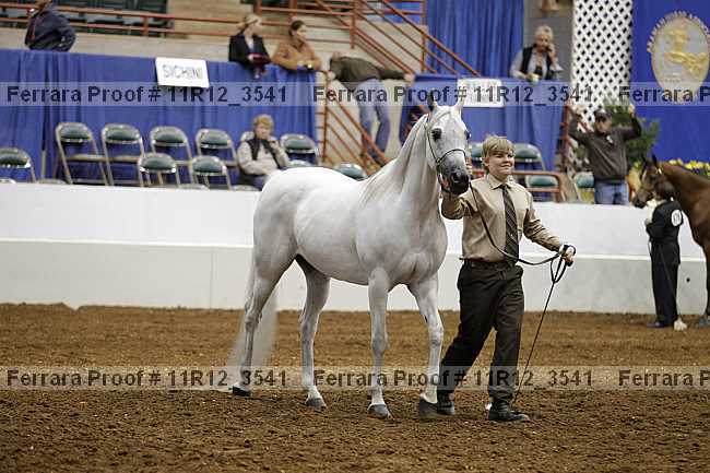 Proof 11r12_3541
