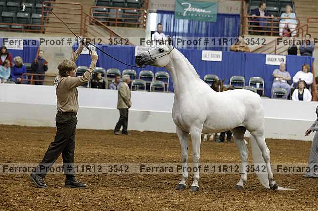 Proof 11r12_3542