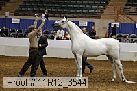 11r12_3544 proof