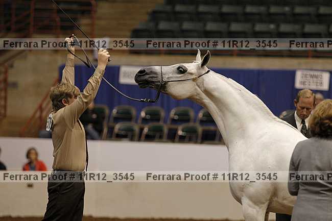 Proof 11r12_3545