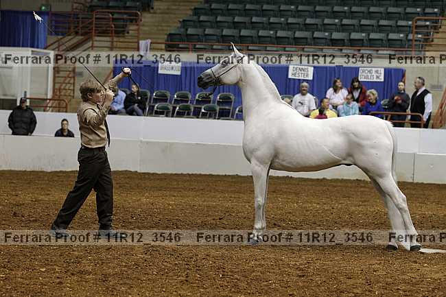 Proof 11r12_3546