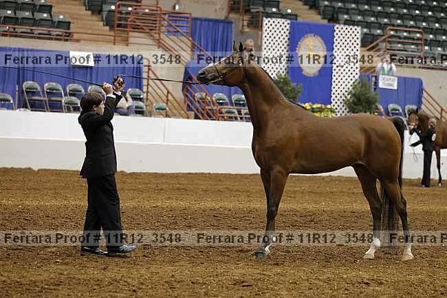 Proof 11r12_3548