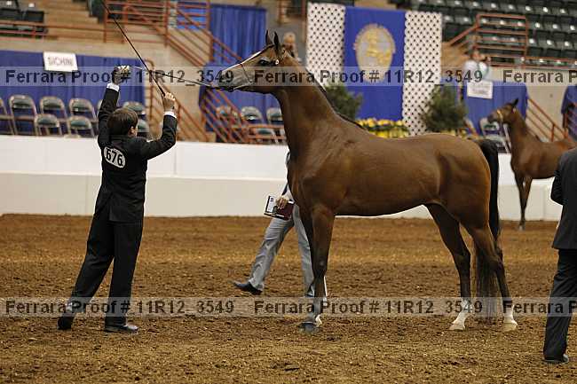 Proof 11r12_3549