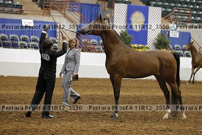 Proof 11r12_3550