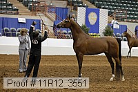 11r12_3551 proof