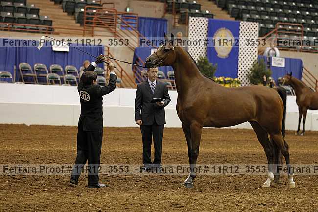 Proof 11r12_3553