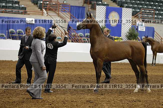 Proof 11r12_3554