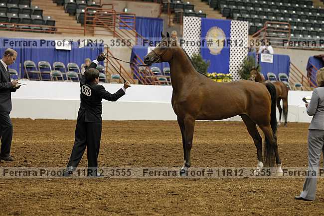 Proof 11r12_3555