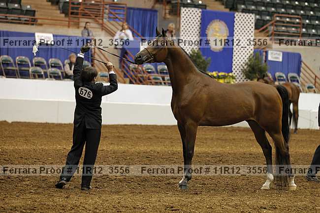 Proof 11r12_3556