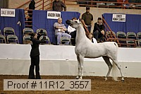 11r12_3557 proof